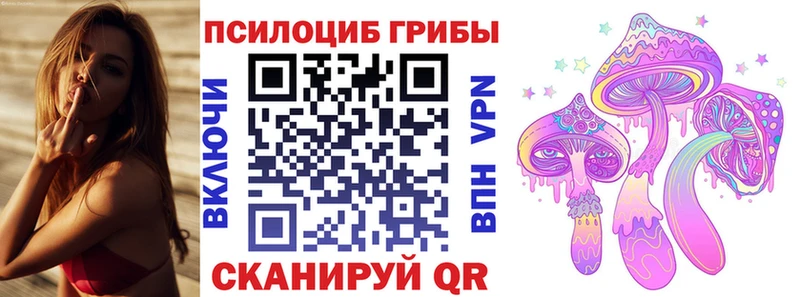 Псилоцибиновые грибы прущие грибы  купить закладку  Никольск 